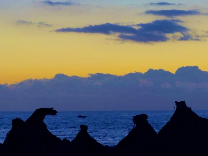 Beach umbrellas silhouetted against blue water and a yellow twilight sky