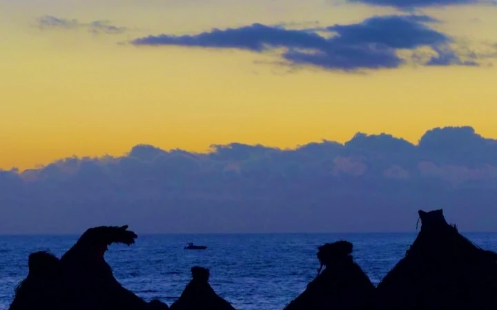 Beach umbrellas silhouetted against blue water and a yellow twilight sky