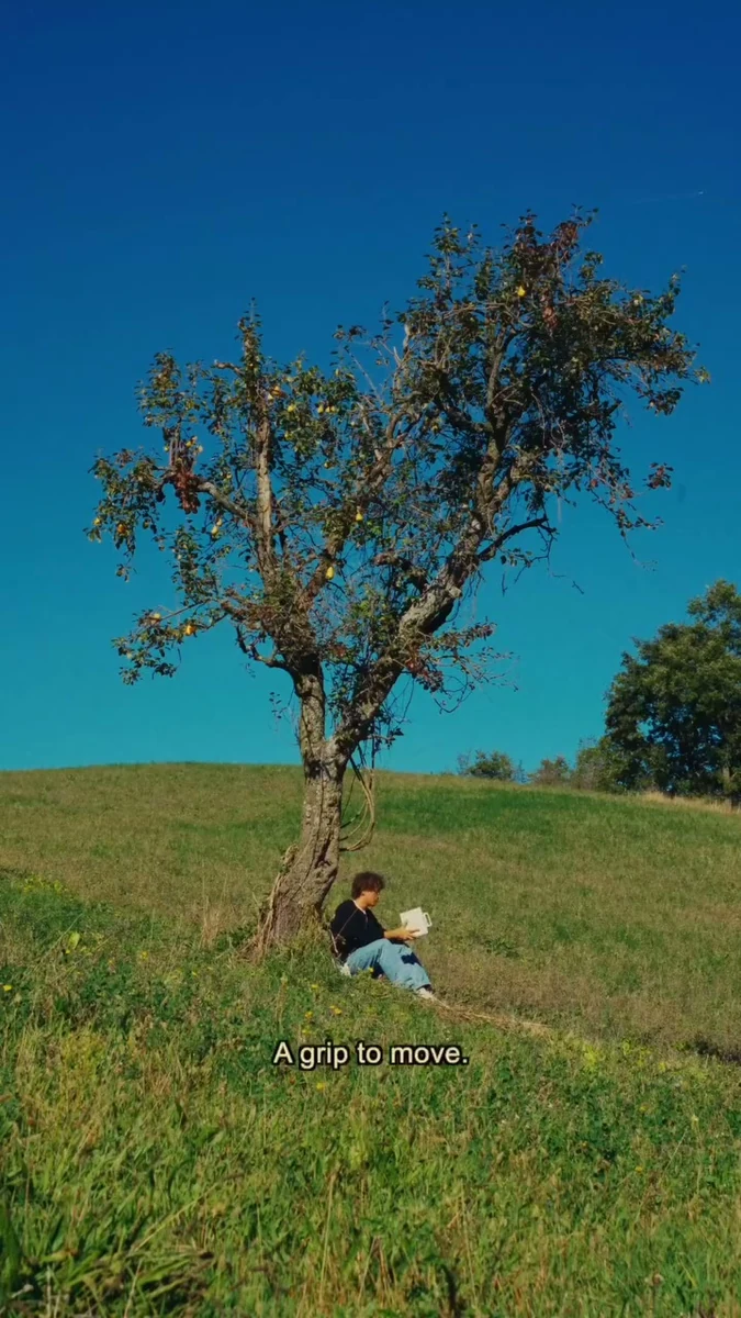 A tree in an open green field beneath blue sky