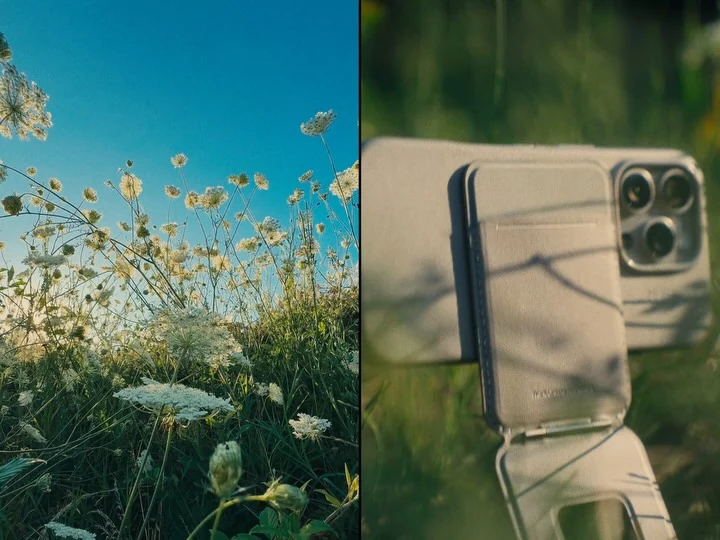A simple phone support beside a flowering landscape