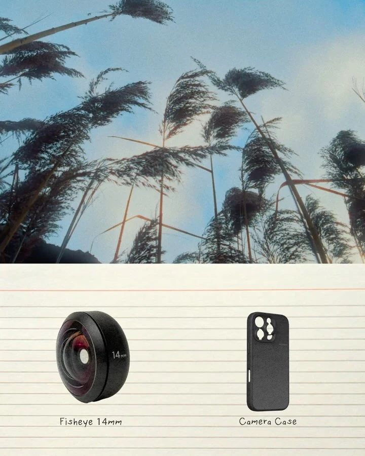 Reeds moving above a graphic of the lens used for the shot