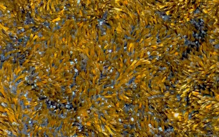 A close view of the blue and gold texture of a mosaic surface
