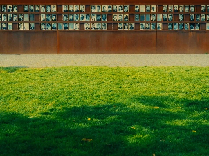 Shadows of trees crossing a green lawn